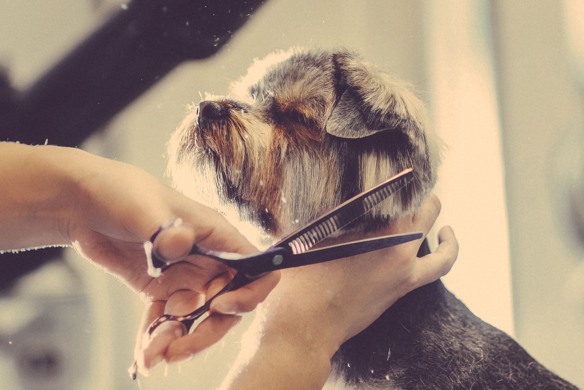 AdobeStock_198842189